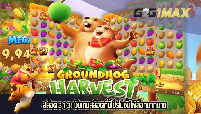สล็อต313 เว็บเกมสล็อตที่มีโปรโมชั่นให้เลือกมากมาย