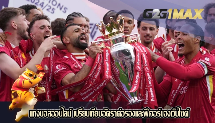 แทงบอลออนไลน์ เปรียบเทียบอัตราต่อรองและฟีเจอร์ของเว็บไซต์