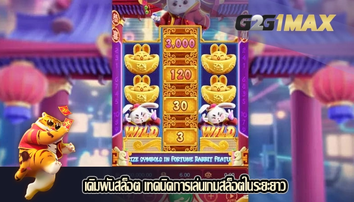 เดิมพันสล็อต เทคนิคการเล่นเกมสล็อตในระยะยาว