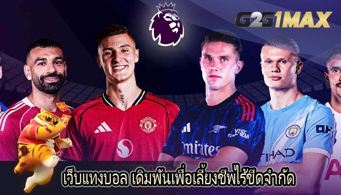 เว็บแทงบอล เดิมพันเพื่อเลี้ยงชีพไร้ขีดจำกัด